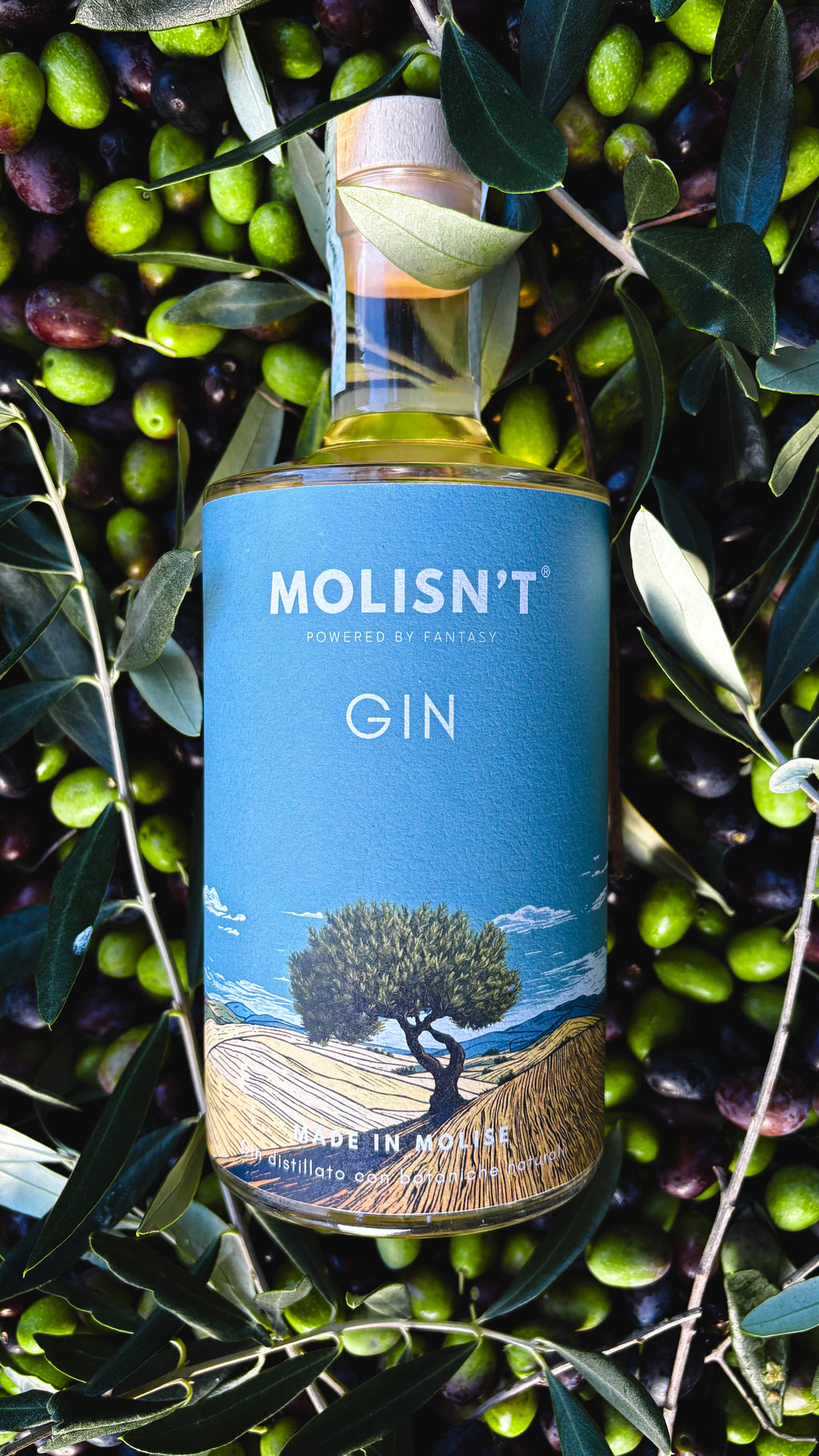 Gin Molisn't