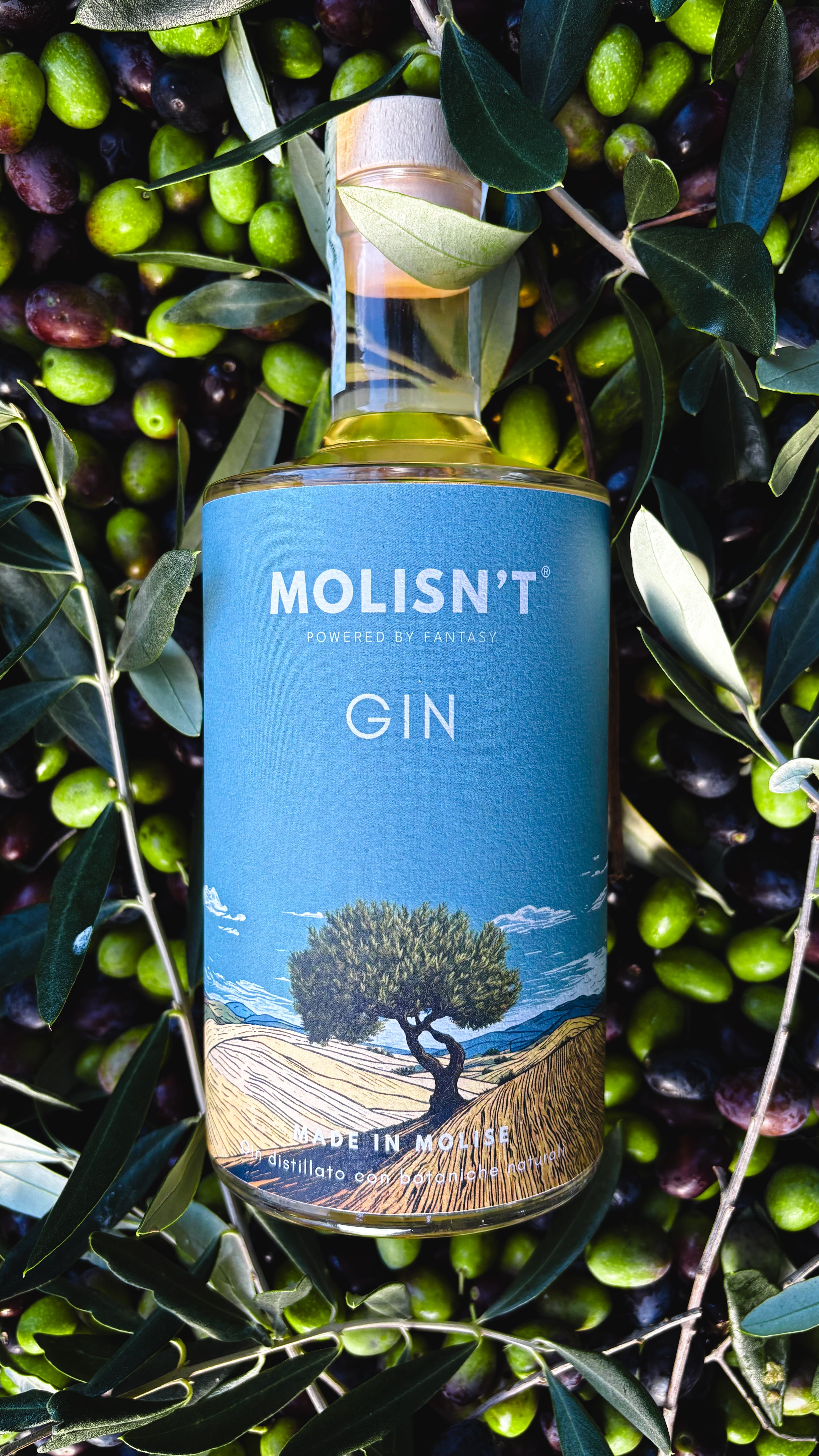 Gin Molisn't